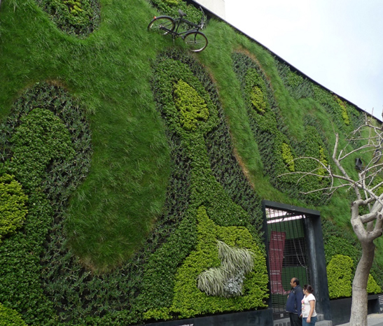 green walls